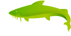Amazonia